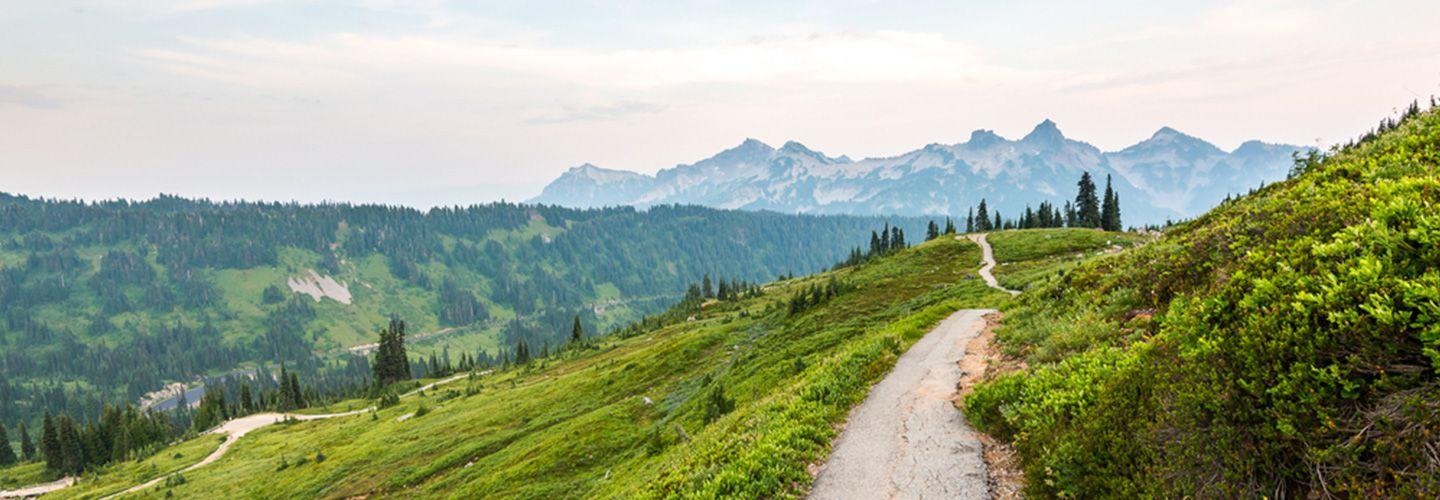 Bond Strategia Conservativa