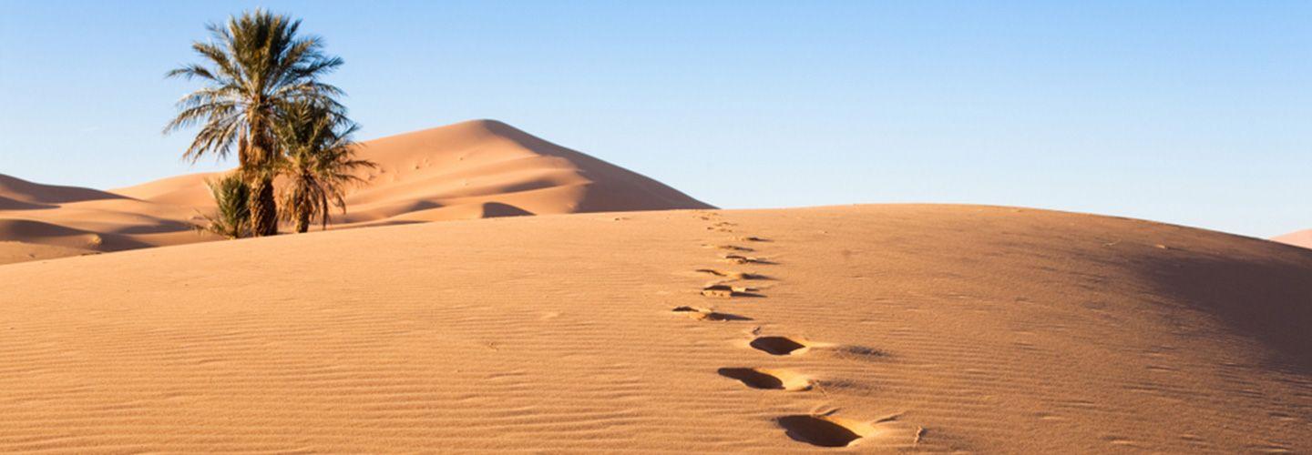 Bond Strategia</br> Prudente