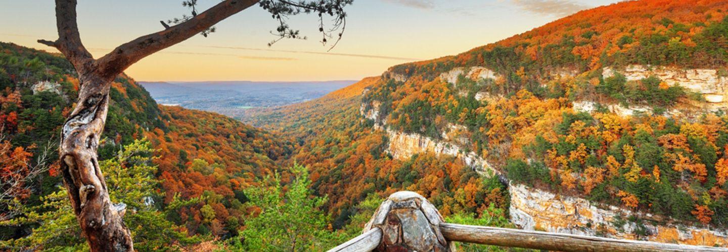 Obbligazionario Internazionale