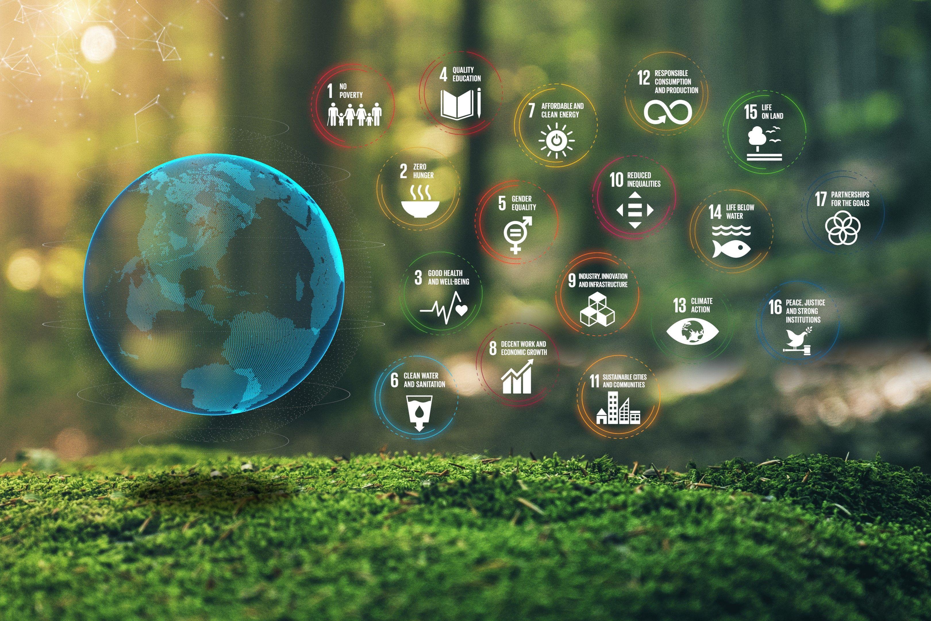 Dall’intuizione alla strategia: l’evoluzione dell’impact investing